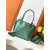 Goyard Anjou Mini Goyardine Limited Edition Pearlescent Green Bag