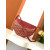 Goyard Hirondelle Red Bag