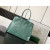 Goyard Hardy PM Green Bag