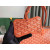Goyard Chien Gris Orange Bag