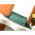 Goyard Anjou Mini Goyardine Limited Edition Pearlescent Green Bag
