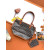 Goyard Anjou Mini Heart Black & Tan Bag