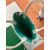 Goyard Poitiers Turquoise & Crown Bag