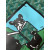 Goyard Anjou Mini French Bulldog Green Bag