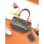Goyard Anjou Mini Heart Black & Tan Bag