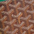 Goyard Victoire Wallet Burgundy