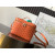 Goyard Muse Vanity Case Orange Bag