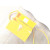 Goyard Cassette Trunk Yellow Bag