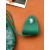 Goyard Anjou Mini Heart Green Bag