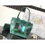 Goyard Anjou Mini French Bulldog Green Bag