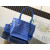 Goyard Anjou Mini Sky Blue Bag