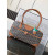 Goyard Vintage Black & Tan Bag