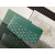 Goyard Insert Louise Green Bag